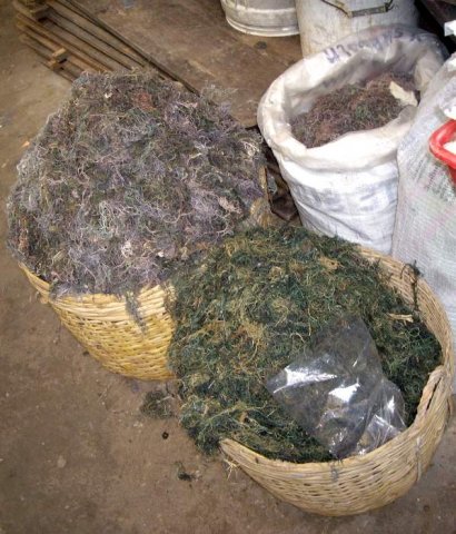 image 042-dried-seaweed-jpg