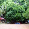 image 147-kampong-trach-cave-area-jpg