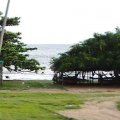 image 035-more-rest-huts-with-hammocks-at-kep-beach-jpg