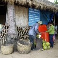 image 066-preparing-young-coconut-for-us-jpg