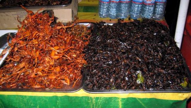 image 061-local-delicacy-at-the-night-market-frogs-legs-and-crickets-sihanoukville-jpg
