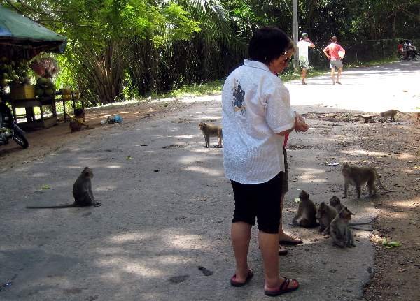 image 082-feeding-monkeys-near-boeng-prek-tup-lake-independence-beach-sihanoukville-jpg