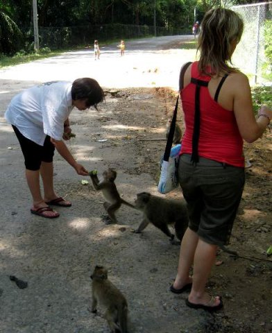 image 083-feeding-monkeys-near-independence-beach-sihanoukvile-jpg