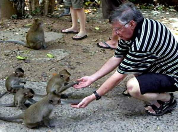 image 083d-feeding-monkeys-near-independence-beach-sihanoukvile-jpg