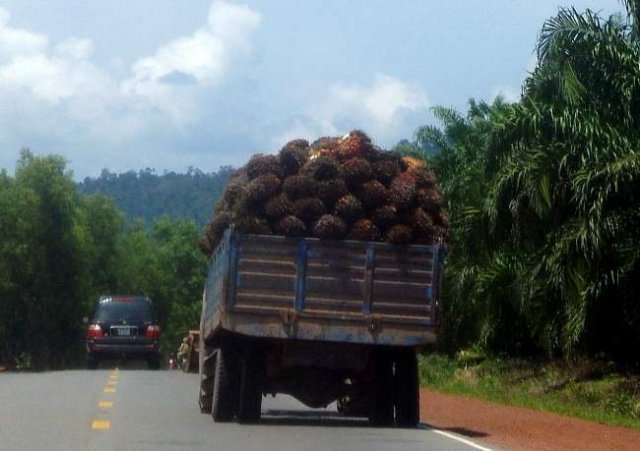 image 097-truck-laden-with-palm-nuts-national-highway-4-jpg