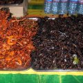 image 061-local-delicacy-at-the-night-market-frogs-legs-and-crickets-sihanoukville-jpg