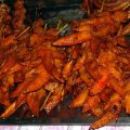 image 063-local-delicacy-at-the-night-market-bbqd-chicken-wing-tips-sihanoukville-jpg