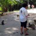 image 082-feeding-monkeys-near-boeng-prek-tup-lake-independence-beach-sihanoukville-jpg
