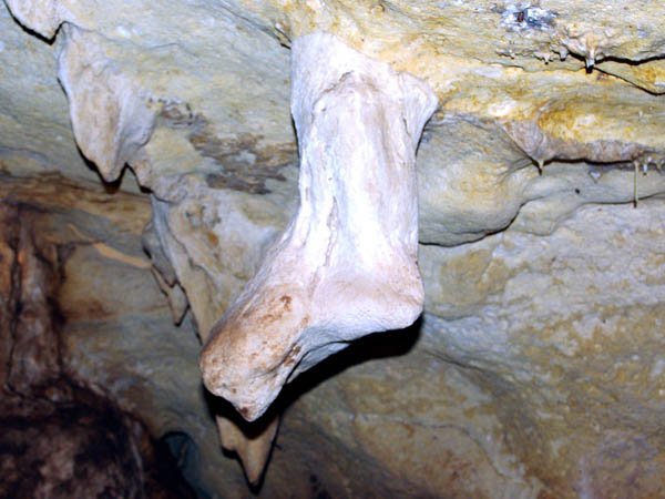 image 11-stalactite-that-looks-like-an-amputated-foot-back-view-jpg