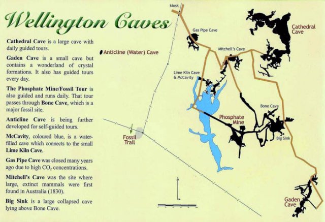 image 02-wellington-caves-info-map-jpg