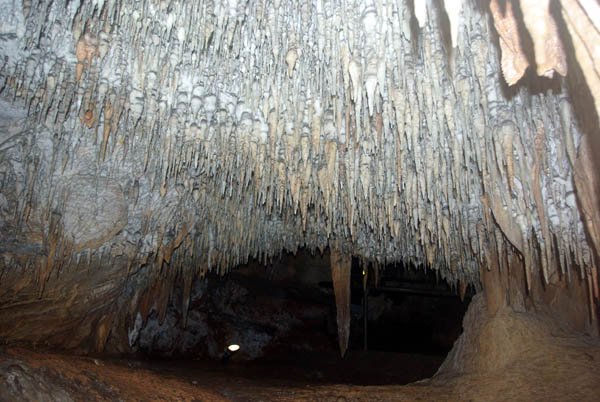 image 08-fairy-cave-petrified-shower-stalactite-formations-jpg