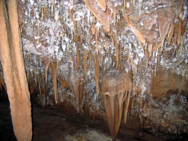 image 60-fairy-cave-some-straw-formations-jpg