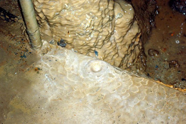 image 68a-a-baby-stalagmite-forming-jpg