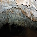 image 08a-petrified-shower-stalactite-formation-jpg