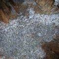 image 27a-cluster-of-stalactites-on-cave-ceiling-jpg