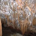 image 60-fairy-cave-some-straw-formations-jpg
