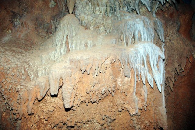 image 29-cave-coral-jpg