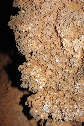 image 30-cave-coral-jpg
