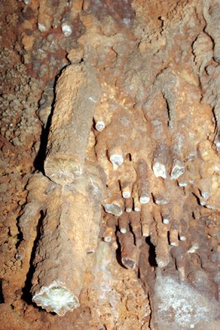 image 32-stalactites-with-tips-broken-off-jpg