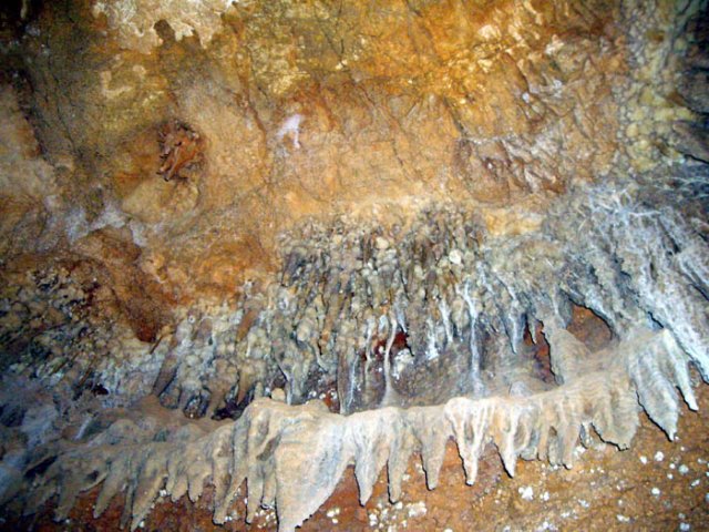 image 34-assorted-speleothems-on-cave-ceiling-jpg