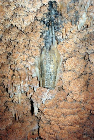 image 41-stalactites-and-cave-coral-jpg