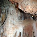 image 23-assorted-speleothems-below-a-cave-coral-formation-jpg