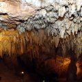 image 25-stalactite-forest-jpg