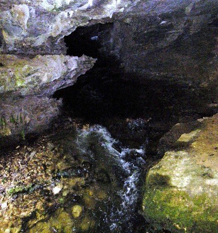 image 14-junee-river-emerging-from-junee-cave-jpg
