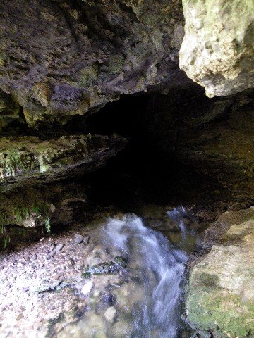 image 15-junee-river-emerging-from-junee-cave-jpg