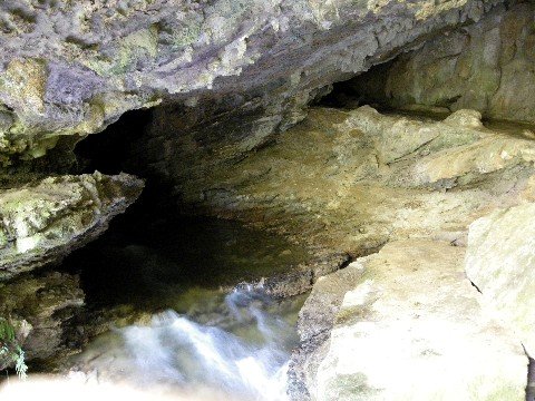 image 16-junee-river-emerging-from-junee-cave-jpg