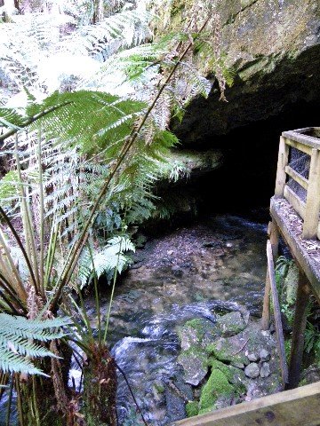 image 18-junee-river-emerging-from-junee-cave-jpg
