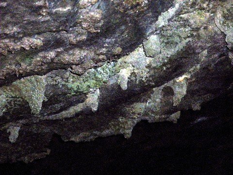 image 20-junee-river-cave-ceiling-visible-from-viewing-platform-jpg