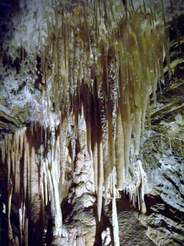 image 13-marakoopa-cave-jpg