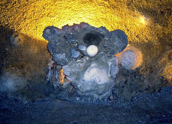 image 24-marakoopa-cave-jpg