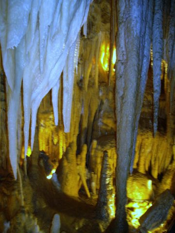 image 26-marakoopa-cave-jpg