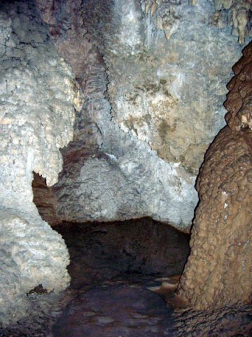 image 29-marakoopa-cave-great-cathedral-cavern-jpg