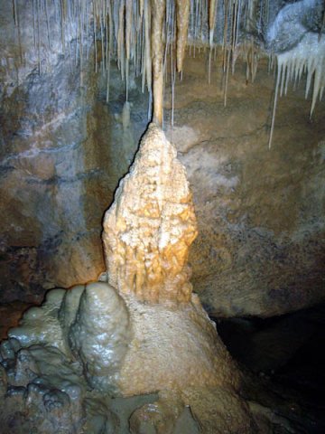 image 33-marakoopa-cave-great-cathedral-cavern-jpg