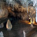 Marakoopa Caves - Mole Creek, TASMANIA