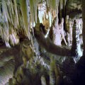 image 17-marakoopa-cave-jpg