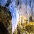 image 23-marakoopa-cave-jpg