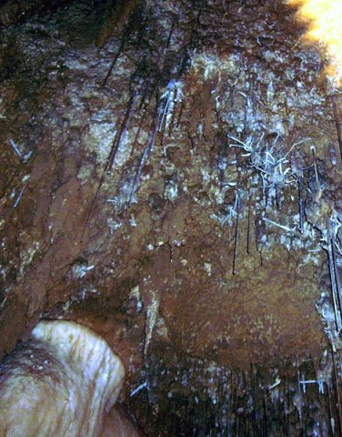image 10-newdegate-cave-helictites-jpg