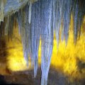 Newdegate Caves - Hastings, TASMANIA