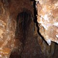 image 11-tree-roots-growing-into-the-mine-jpg