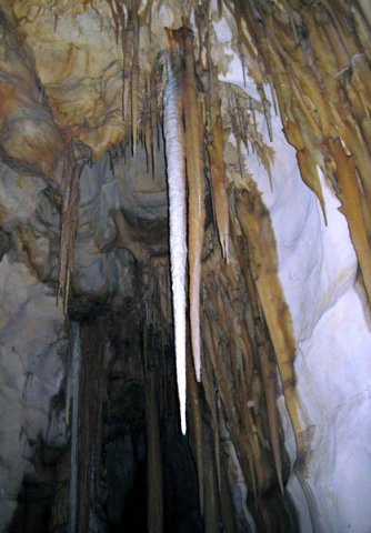 image 18-speleothems-on-cave-ceiling-jpg