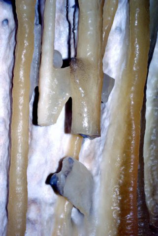 image 60-stalactite-jpg