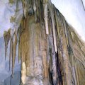 image 33-ironbark-tree-roots-growing-through-cave-ceiling-jpg