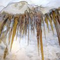image 42-assorted-speleothems-on-cave-ceiling-jpg