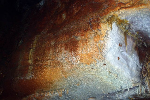 image 47-cave-coral-jpg