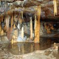 image 17-assorted-speleothems-in-a-reflective-rim-pool-jpg