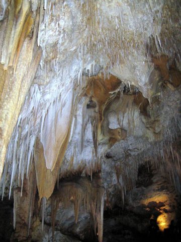 image 14-assorted-speleothems-on-cave-ceiling-jpg